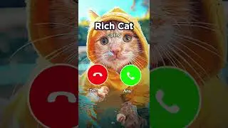 RICH CAT 😸💰💞 Calling with MONEY