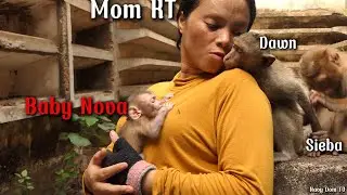 Epic Babysitting Crisis:Taking Care of Nova When KT's Away &Libby Has No Milk! Survival Tips for Her