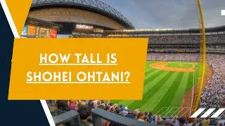 How Tall is Shohei Ohtani? -Sports Scouter