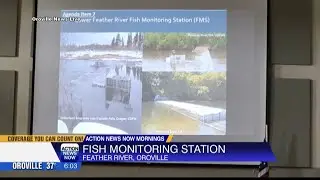 New fish monitoring station to be installed on the Feather River this spring