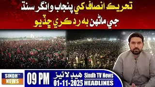 02 AM Headlines | 11 January 2025 | Sindh TV News