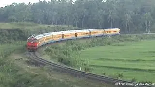 Kereta Api Patas Merak BB304 / Krupp M1500BB
