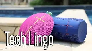 UE MEGABOOM & ROLL | Full Review