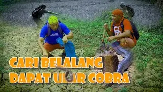 BERBURU CARI LAUK EH DAPET JACKPOT LURR
