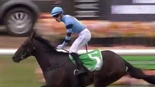 Magic Millions 2YO Classic 2026 - Unit Five #horse #horseracing 