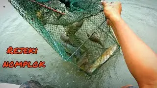 PERANGKAP BUBU NAGA 🔴 AMAZING FISH TRAP‼️
