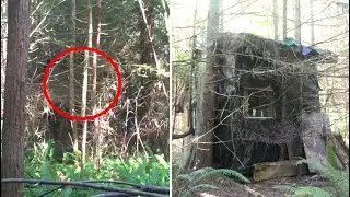 This Forest Ranger Found A Hidden Cabin In The Woods With A Secret Inside