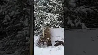 showfall camping in jungle | winter camping | #outdoorcamp #shorts