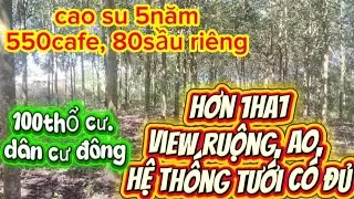 cao su 5năm về làcạo luôn, cafe, sầu riêng có sẵn, dân cư đông. chợ trường học gần.2tỉ500 0377536946