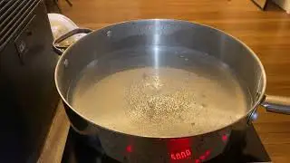Lennox Healthy Choice Portable Induction Cooker Review