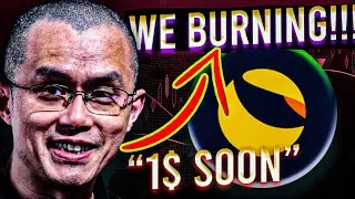 🚨 Terra Luna Classic: OMG THEY ARE BURNING!! - LUNC TO 1$ SOON