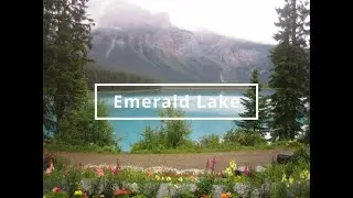 Hike around Emerald Lake | Yoho National Park | BC | Canada