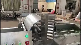 Vortex Vegetable Washing Machine Wash Fresh Leaf Vegetable