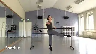 2:0 Back to Basics Ballet Barre/ Only Exercises
