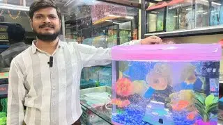 आर एस 580 मॉडल नंबर एक्वेरियम कैसे फिट करें || RS-580 MODEL NUMBER SETUP #aquarium #aquariumsetup