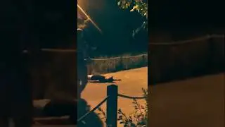 Zombie Attack in Miami! 🧟&zwj;♂️🌴 | Public panic prank