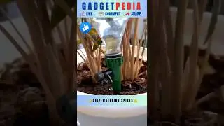 Self Watering Spikes  #shorts #gardening #gadgets #youtubeshorts #viralshorts ( Product 460 )