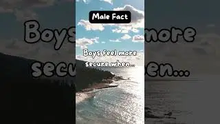 Amazing Daily Boy Facts