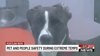 Keeping you and your pets warm in the winter