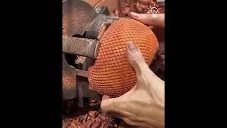 What a piece of wood can become in the hands of a craftsman!