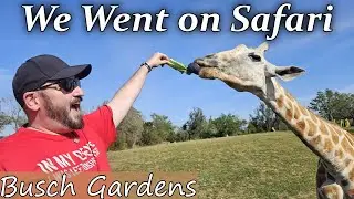 We Went on Safari in the Heart of Tampa!