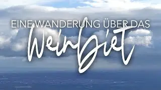 Eine Wanderung über das Weinbiet | Wandern in der Pfalz