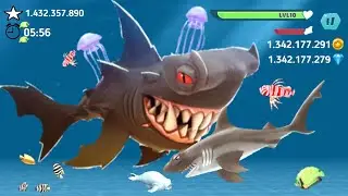 Hungry Shark Evolution | Dark Hammer Shark VS Hammerhead Shark  | Unlocked Update | Shark Attack😮🦈