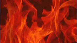 Fire Sign GENERAL Collective Reading #leo #aries #sagittarius #sun #moon #rising #venus #northnode