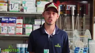 Conheça o Borgal