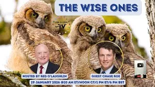 THE WISE ONES WELCOMES CHASE ROE | MILITARY LEADERSHIP AND CIVILIAN TRANSITION 📱