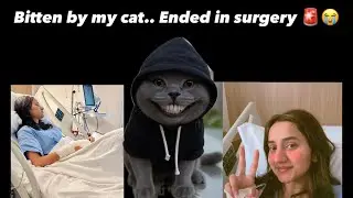 Emergency Surgery After Cat Bite  💉🚨 