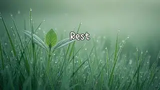 🌿Rest &ndash; 1 Hour of Prayerful Meditation Music for Trust, Stillness & God&rsquo;s Peace