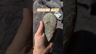 What a beauty! #lapidary #brazil #agate #rockhounding #viral #shorts #trending #popular