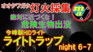 灯火採集 ライトトラップで狙うオオクワガタ！ 【今峰製HIDライト】 近づいてはならない危険生物が出没！