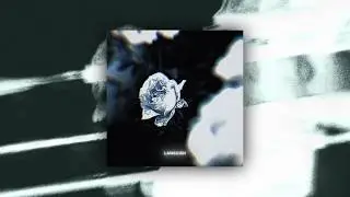 Grayout - Languish (Official Visualizer)