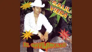 Jesus Malverde (Remasterizado)