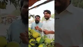 Musammi ka kya rate hai||umartv227