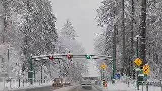 Through the Snow: Stanley Park to Lions Gate Bridge
