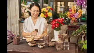 BIZEN NUNG CỦI NH&Agrave; OMORI - GI&Aacute; TRỊ THEO THỜI GIAN.