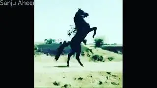 New Yadav status 2021