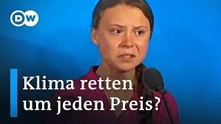 Fridays For Future: Klima retten um jeden Preis? | Auf den Punkt