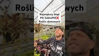 Największy błąd podczas zakupu roślin domowych.
