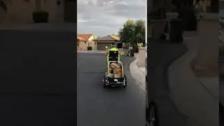 Riley in her Burley Tail Wagon
