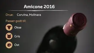 Amicone 2016