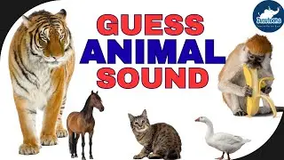 Guess the Animal Sound | Animal Sounds for Kids | #kidsvideo #animals @CoComelon 