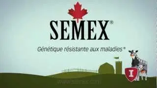 Semex Immunity+&trade; French HD