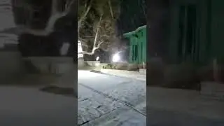 Ziarat Snowfall🇵🇰(05-Dec-2021)| Ziarat Tourism Place | Ziarat Cold Weather |ZiaratSnowflakes #shorts