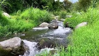 Tranquil River Flow &ndash; 10 Hours of Water ASMR  - Stress, Anxiety Relief & Meditation Sounds