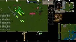 Eternia UO - Sos(Hazine) Açtık. Şifreli Chest çıktı.