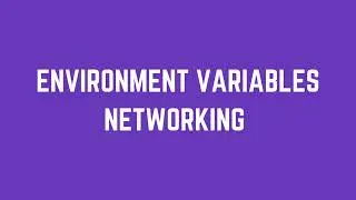 DevOps Tutorial: Environment Variables and Networking